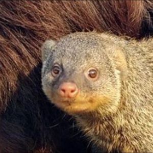 Meet your Posher, Margot